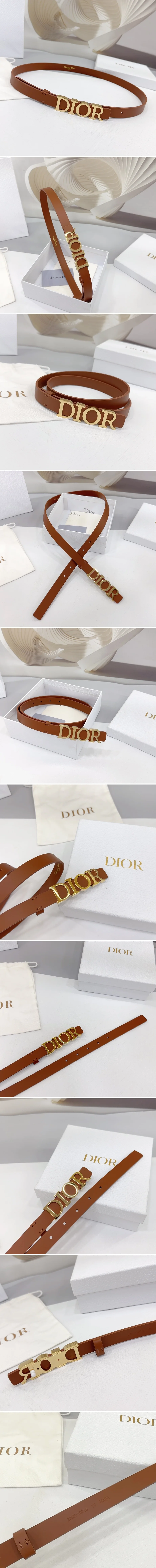 디올 디 드림 골드 벨트