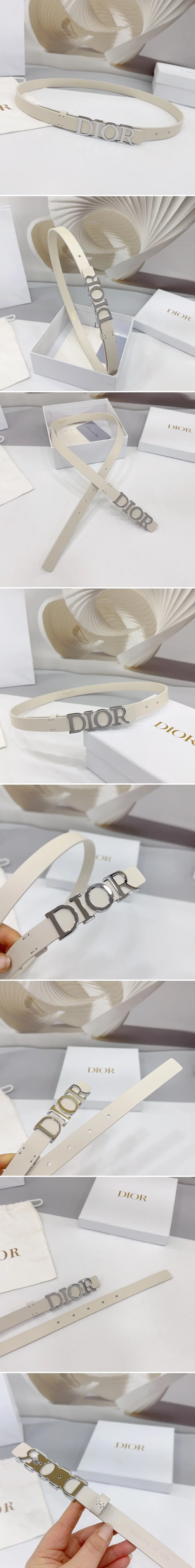 디올 디 드림 실버 벨트