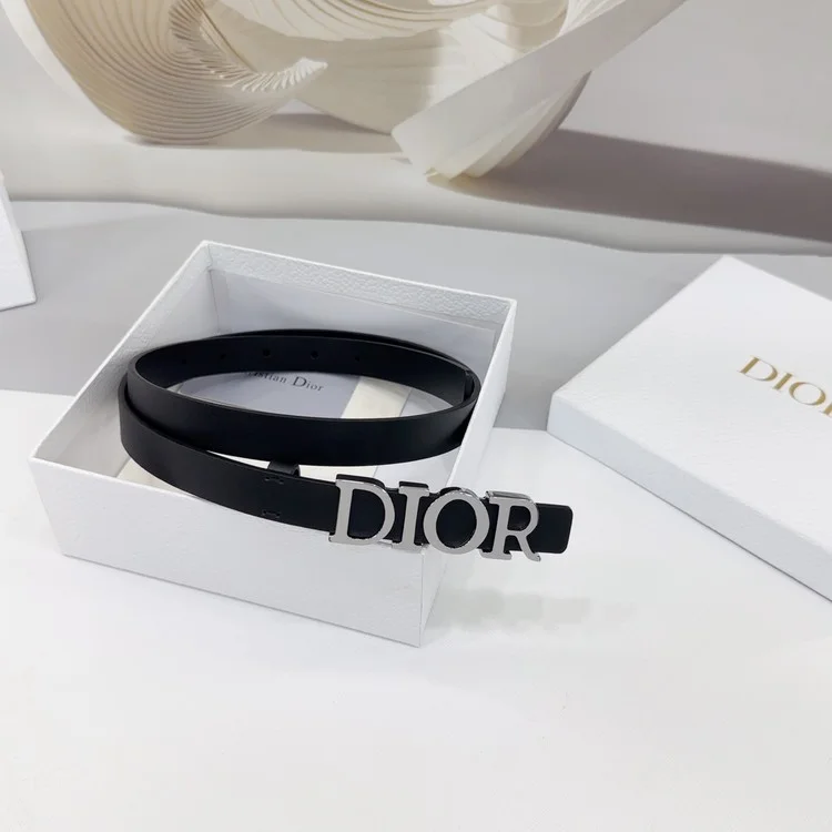 디올 디 드림 실버 벨트