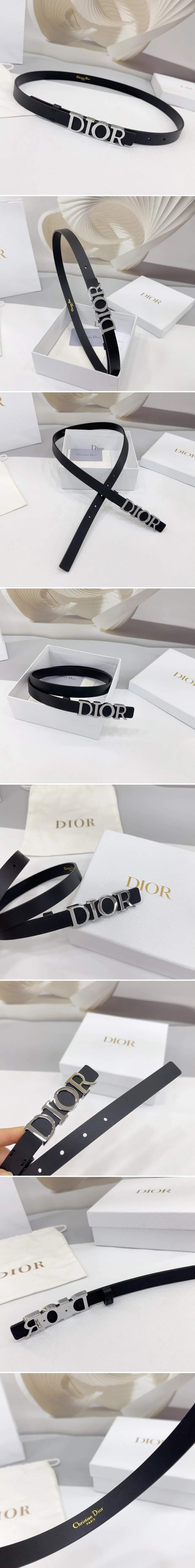 디올 디 드림 실버 벨트