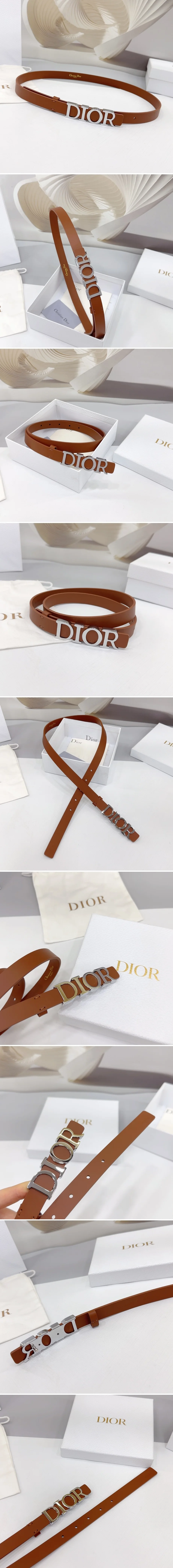 디올 디 드림 실버 벨트