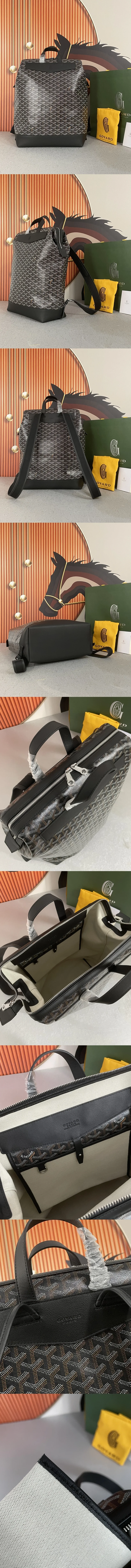 고야드 시스알팡 백팩