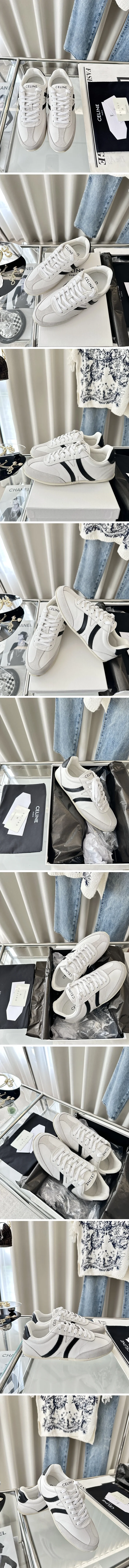 셀린느 트리옹프 조거 로우 레이스업