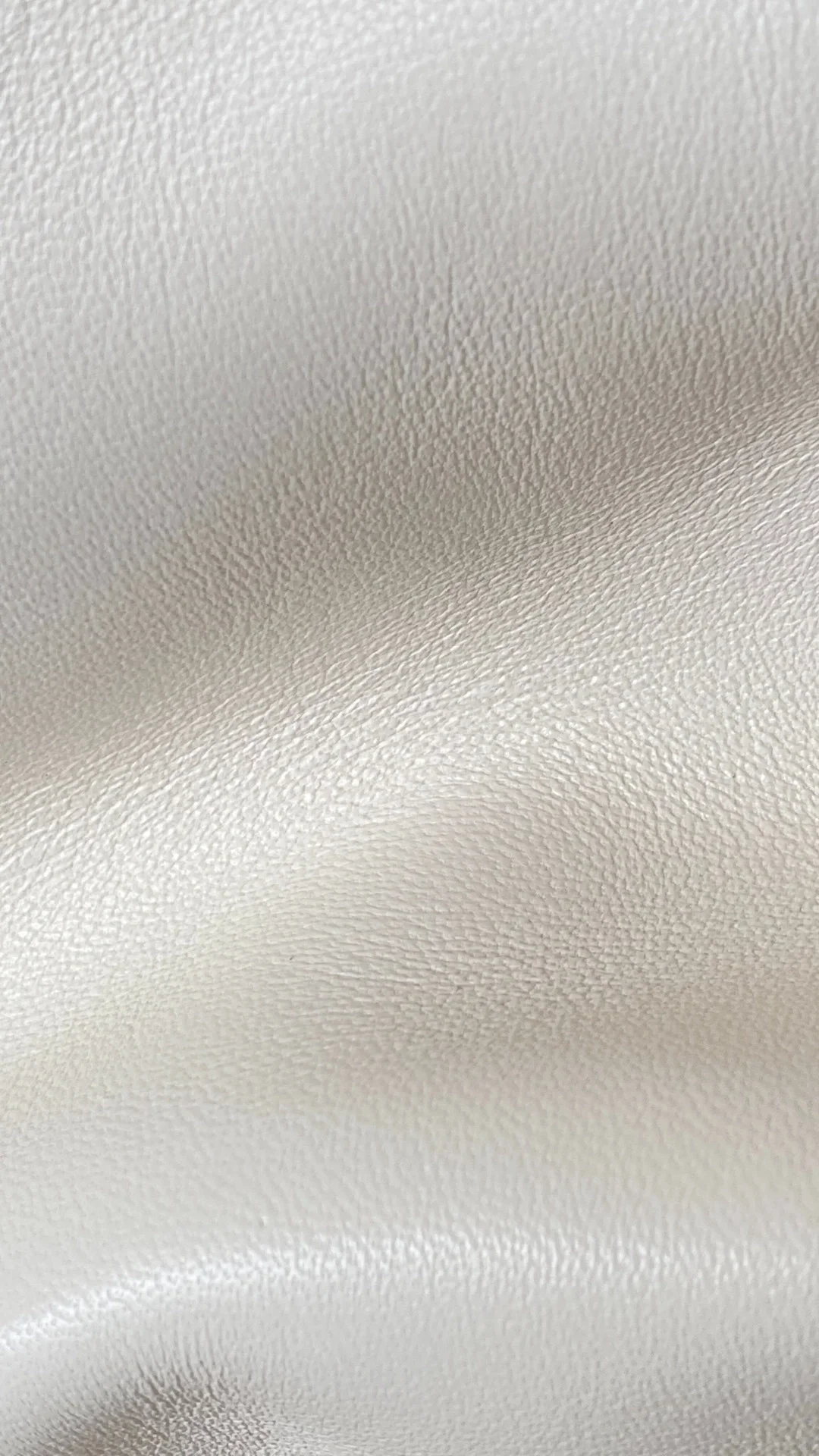 샤넬 19백 미디움 램스킨 화이트 골드