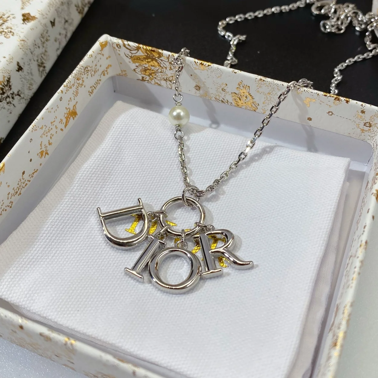 디올 에볼루션 실버 목걸이