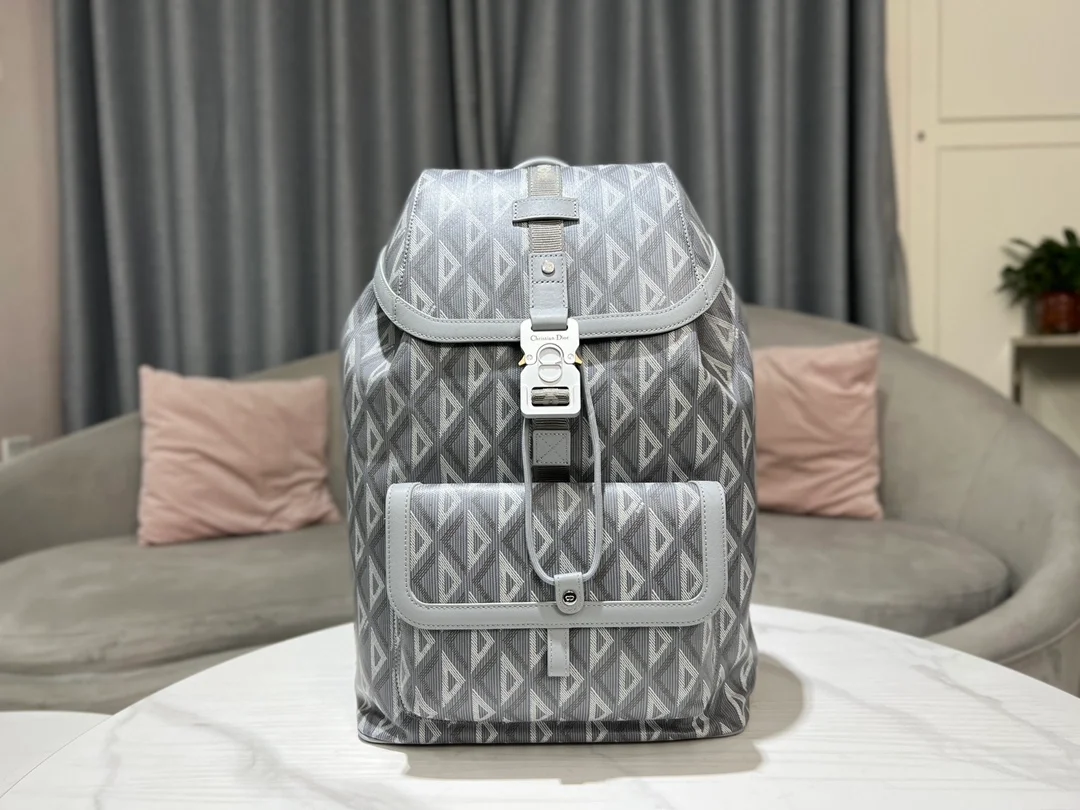 디올 힛 더 로드 백팩 그레이