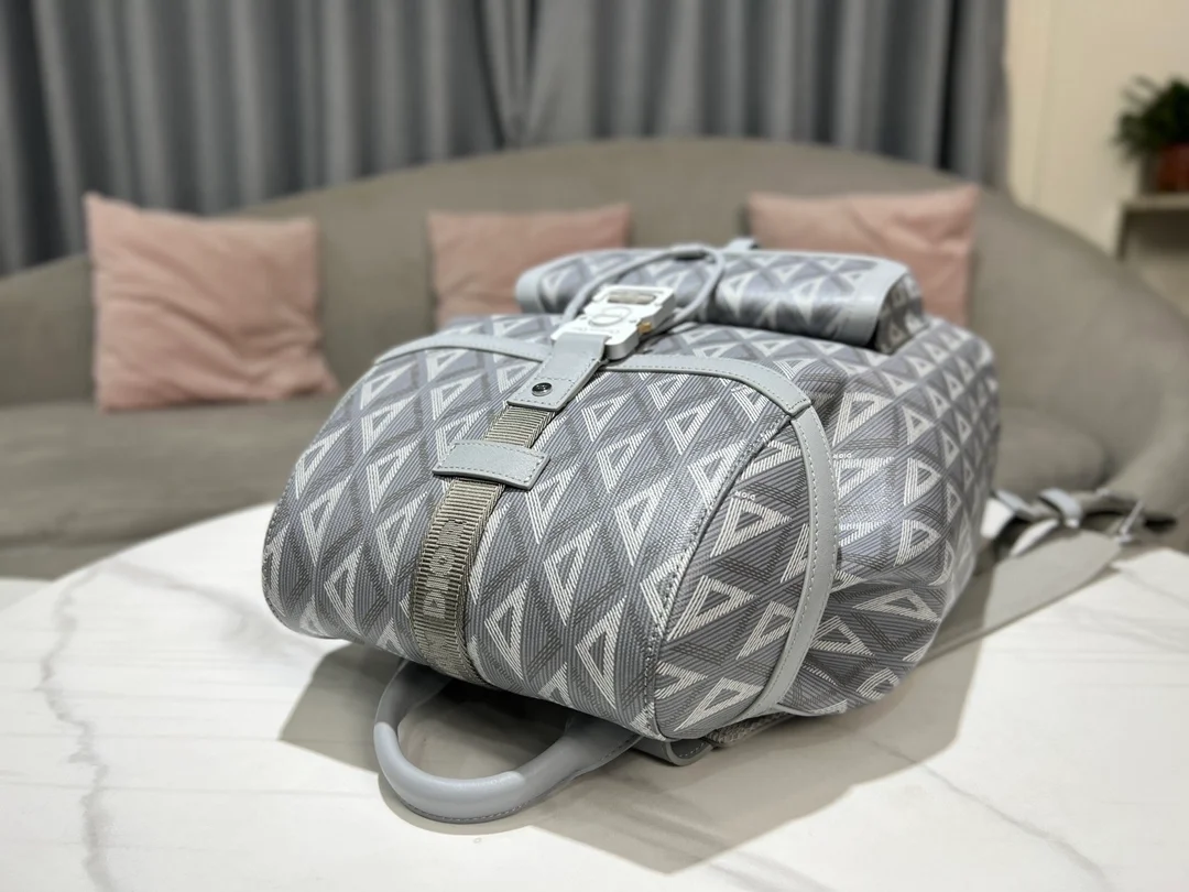 디올 힛 더 로드 백팩 그레이