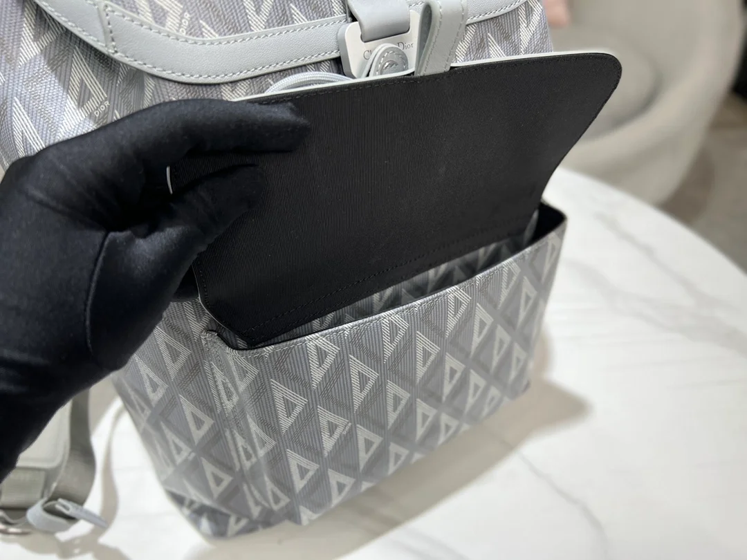 디올 힛 더 로드 백팩 그레이