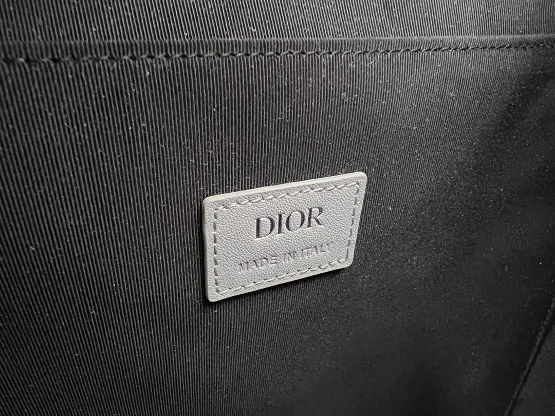 디올 힛 더 로드 백팩 그레이