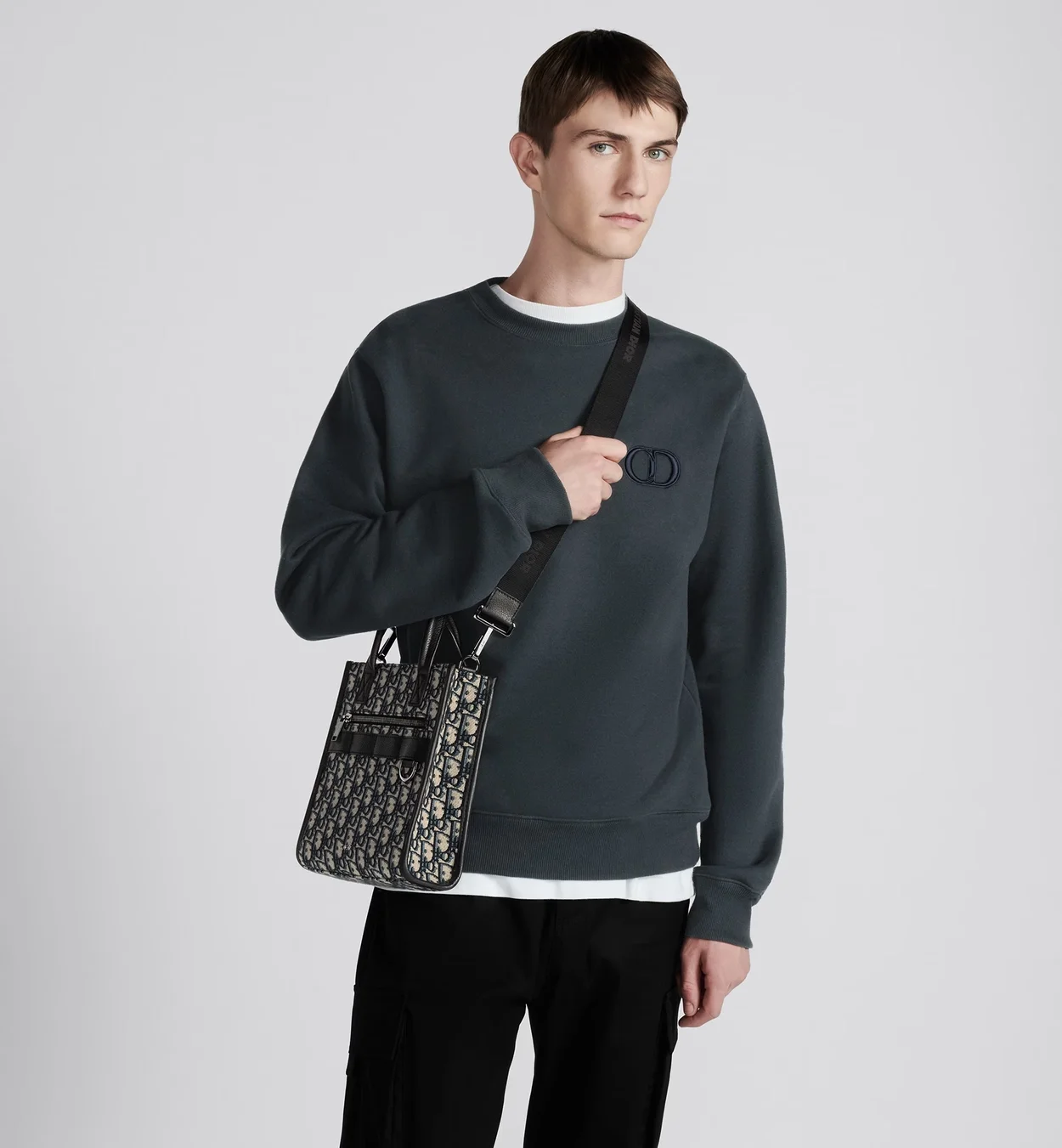 디올 사파리 노스 사우스 토트백 베이지