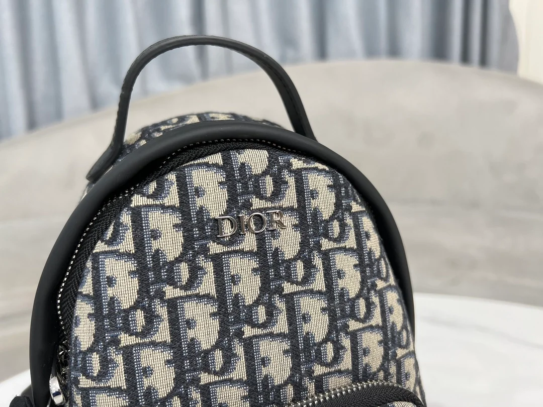 디올 오블리크 미니 라이더 슬링 백