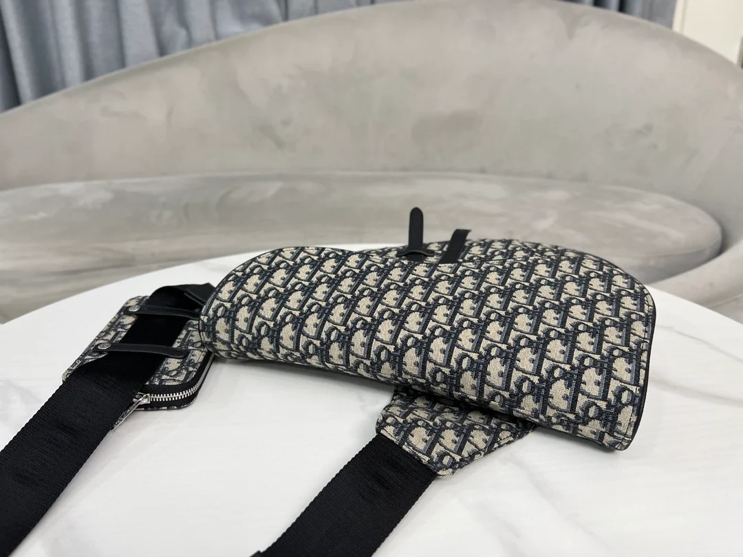 디올 오블리크 자카드 새들 백 베이지