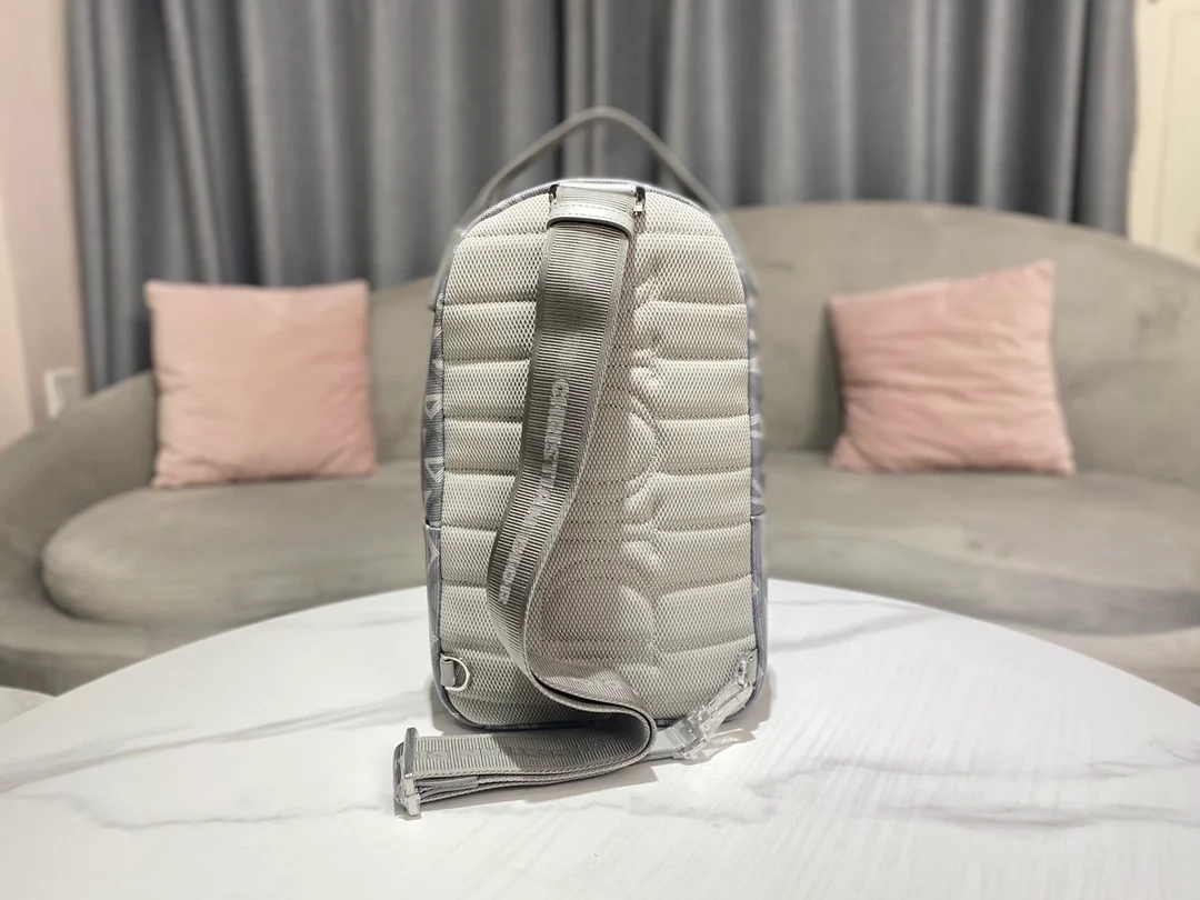 디올 라이더 미니 슬링 백 그레이