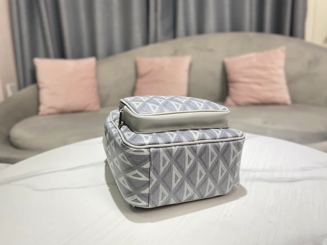 디올 라이더 미니 슬링 백 그레이