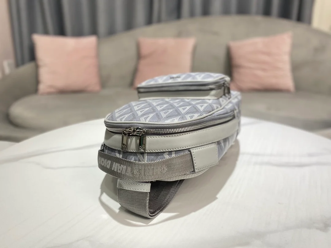 디올 라이더 미니 슬링 백 그레이