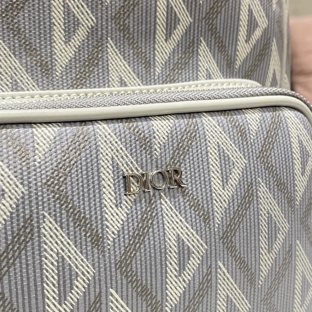 디올 라이더 미니 슬링 백 그레이