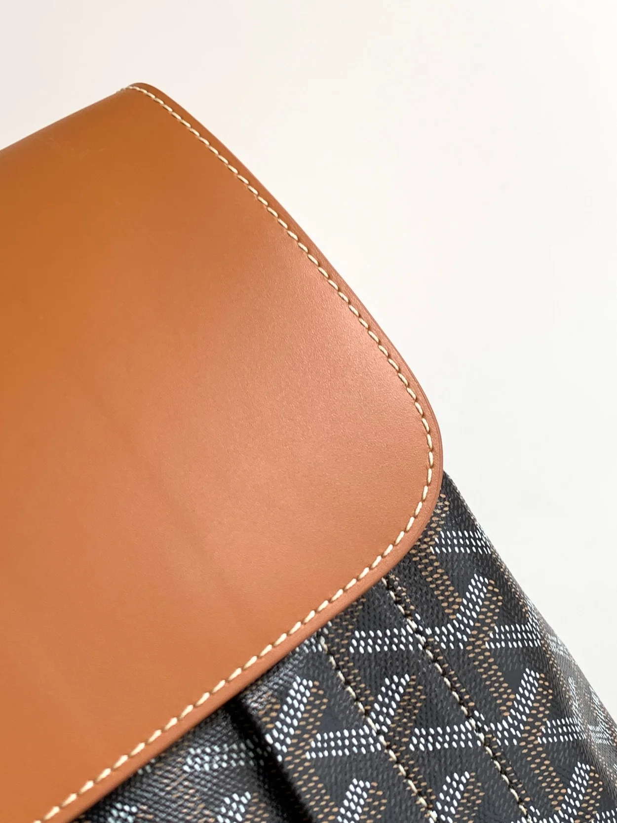 고야드 알파인 MM 백팩 탄