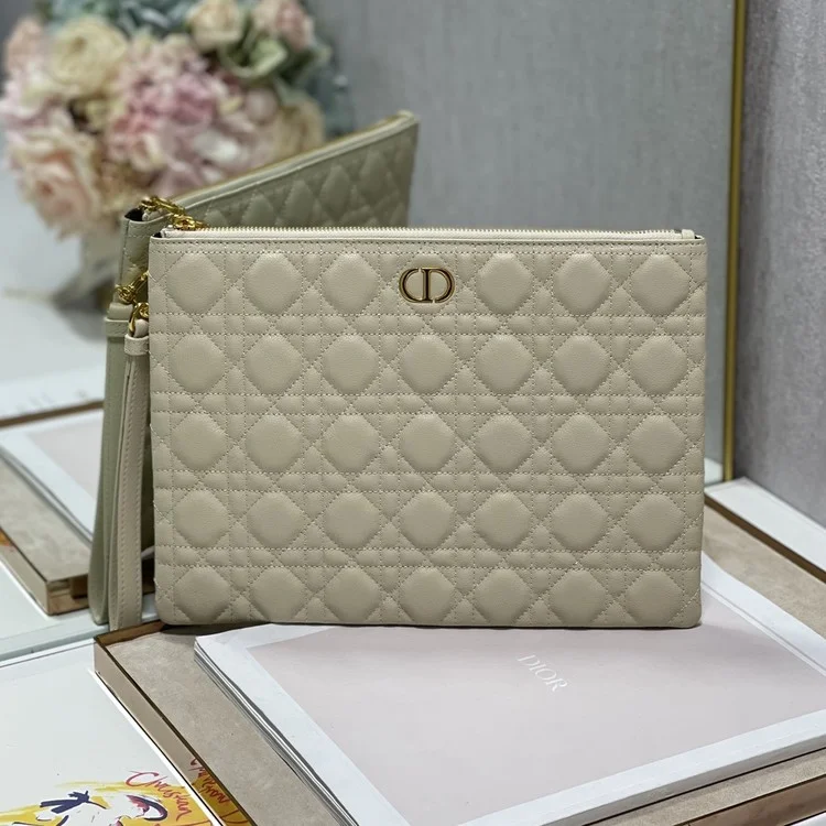 디올 미디움 카로 데일리 파우치