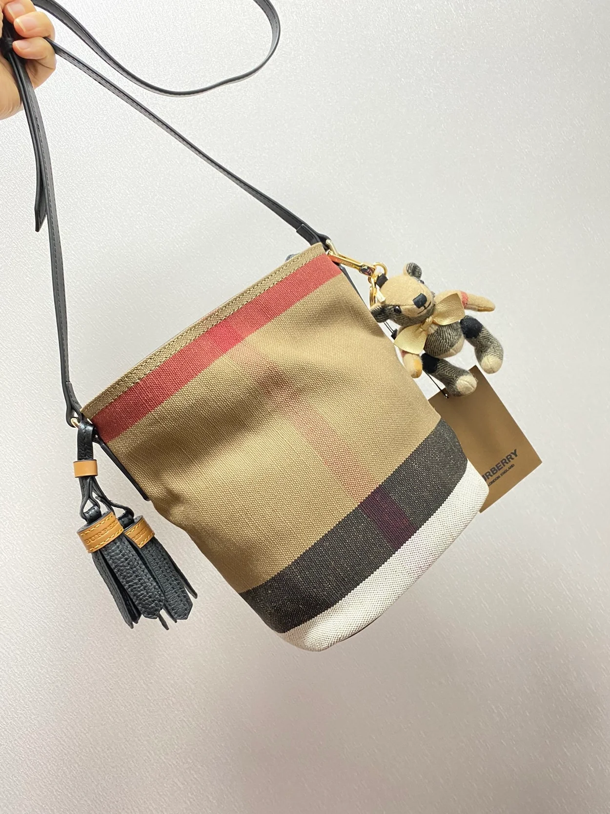 버버리 스몰 캔버스 애쉬비 호보백