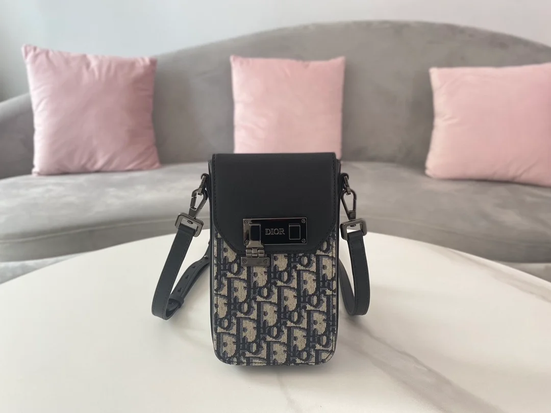 디올 버티컬 파우치 베이지