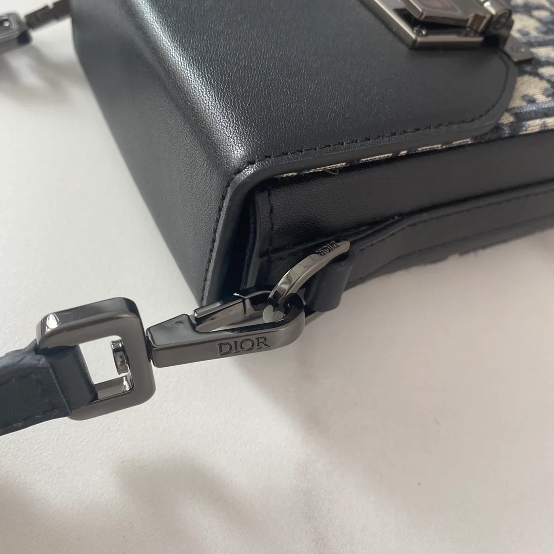 디올 버티컬 파우치 베이지