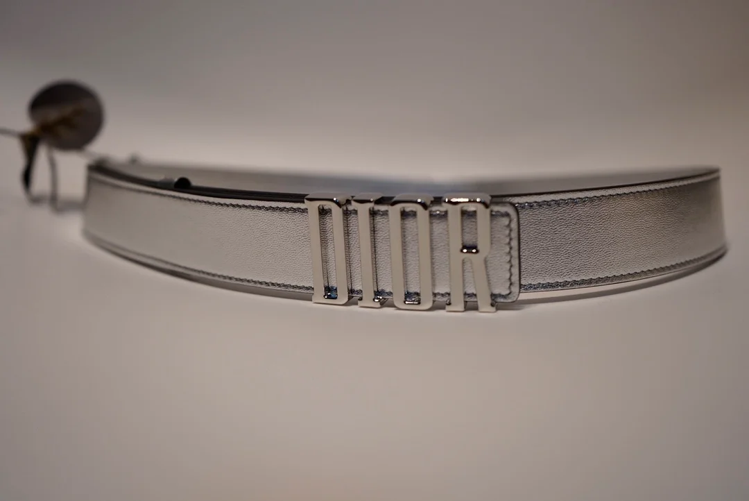 디올 D-FENCE 리버서블 벨트 실버 30mm