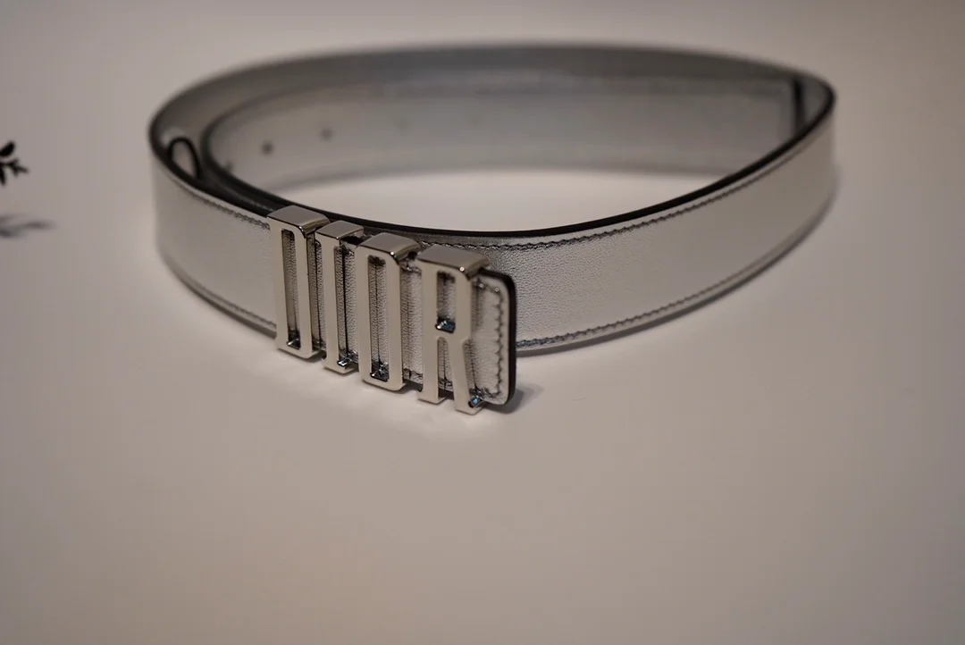 디올 D-FENCE 리버서블 벨트 실버 30mm