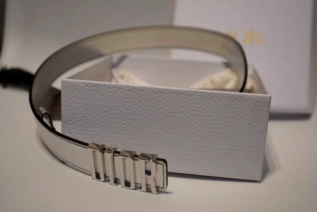 디올 D-FENCE 리버서블 벨트 실버 30mm