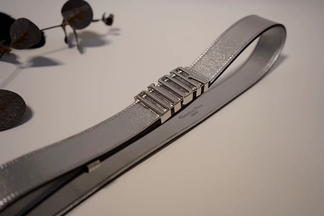 디올 D-FENCE 리버서블 벨트 실버 30mm