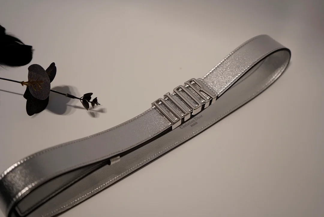 디올 D-FENCE 리버서블 벨트 실버 30mm