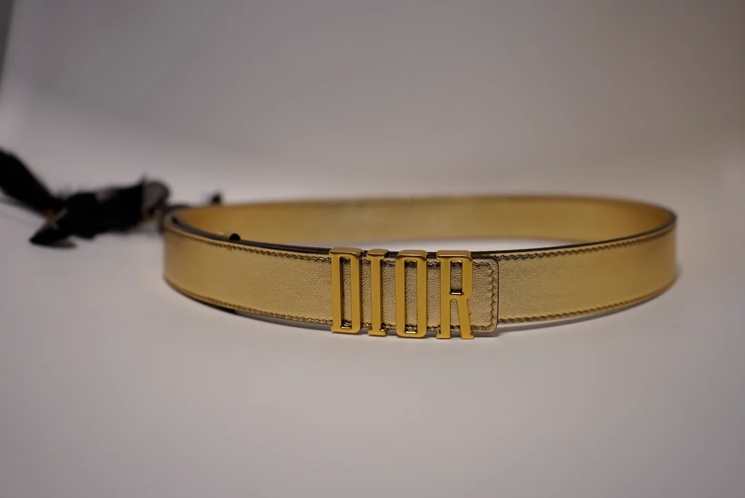 디올 D-FENCE 리버서블 벨트 골드 30mm