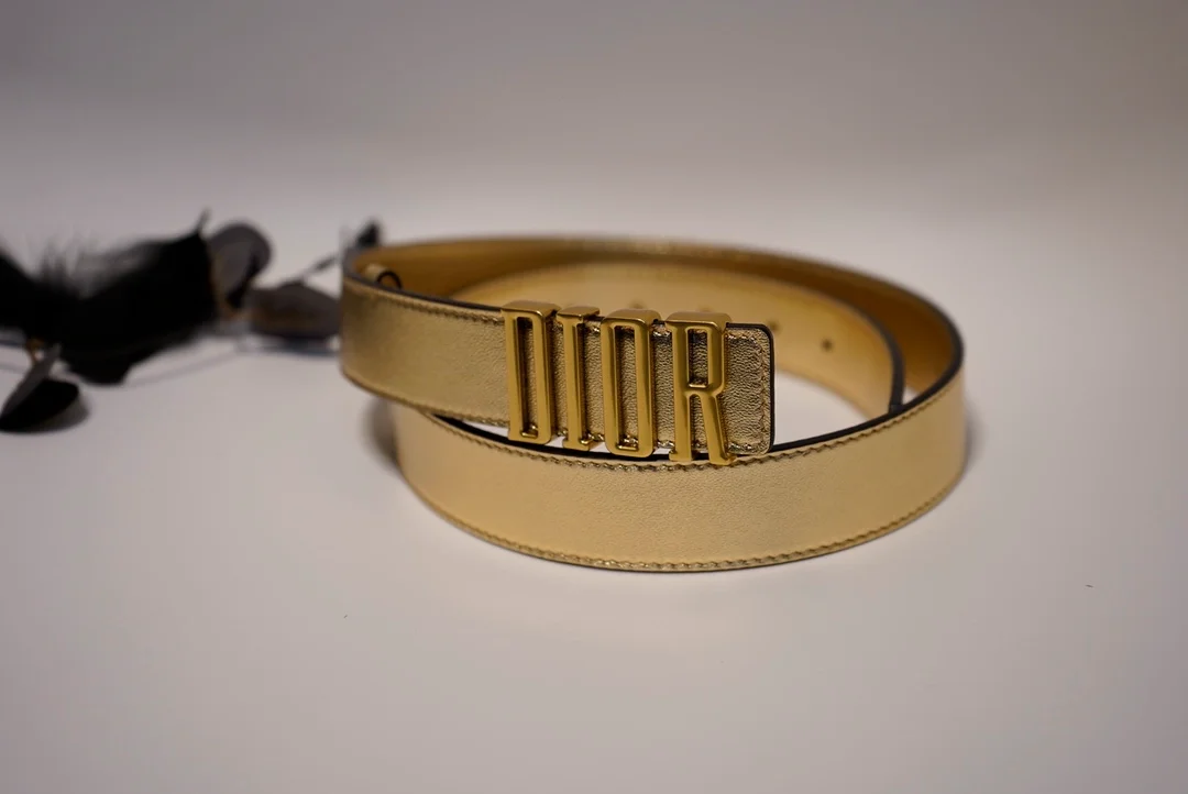 디올 D-FENCE 리버서블 벨트 골드 30mm