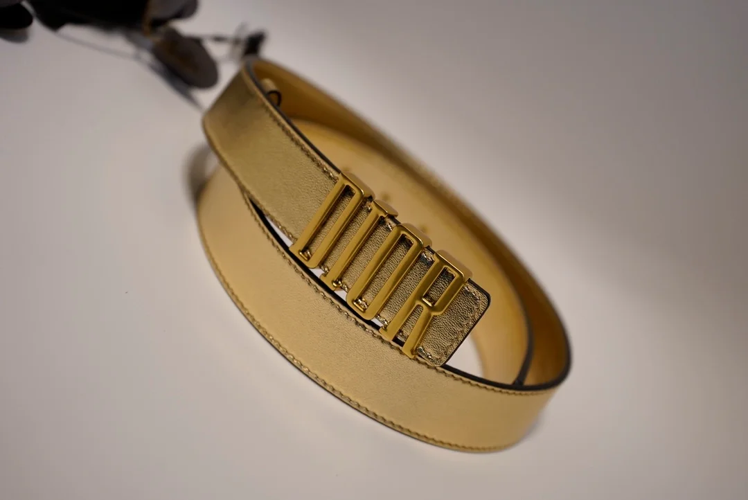 디올 D-FENCE 리버서블 벨트 골드 30mm