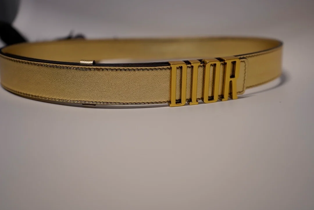 디올 D-FENCE 리버서블 벨트 골드 30mm