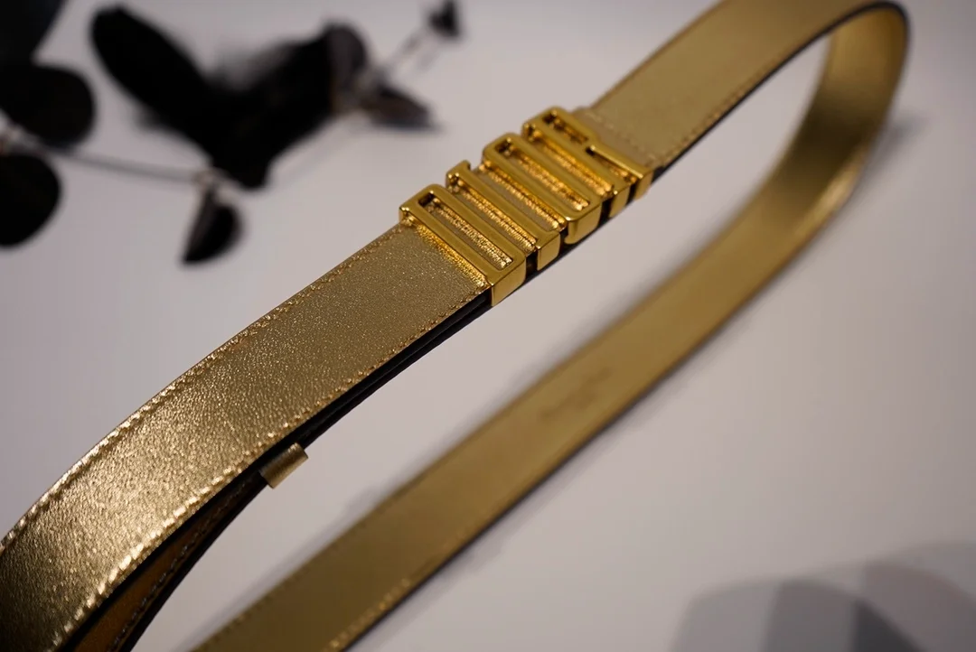 디올 D-FENCE 리버서블 벨트 골드 30mm