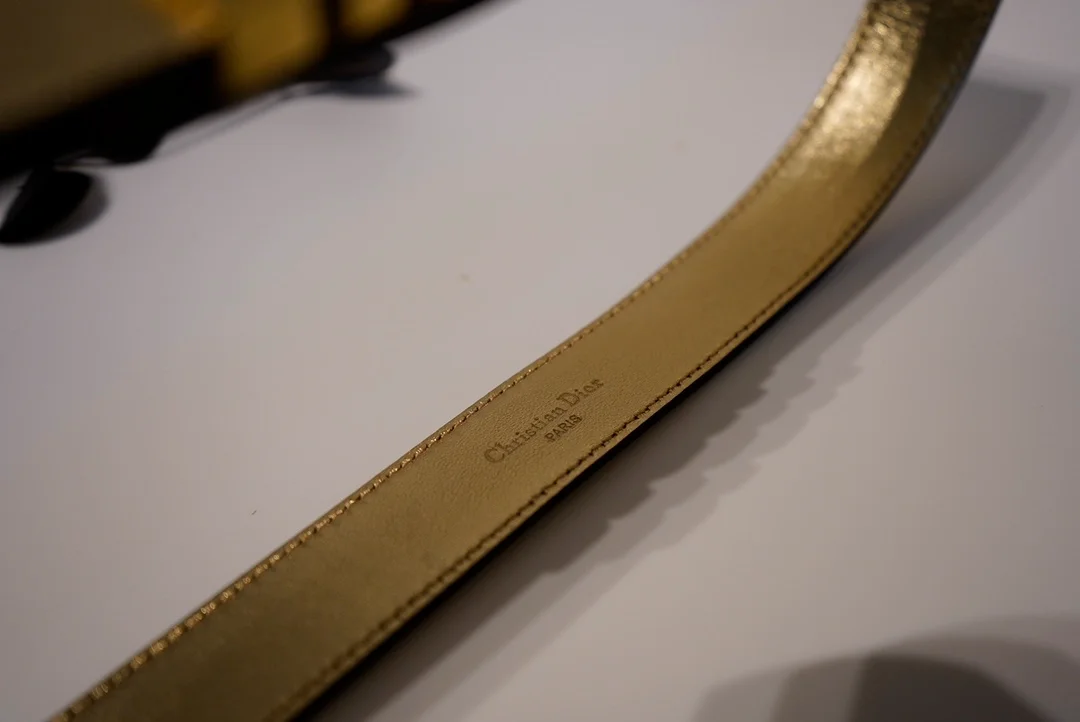 디올 D-FENCE 리버서블 벨트 골드 30mm