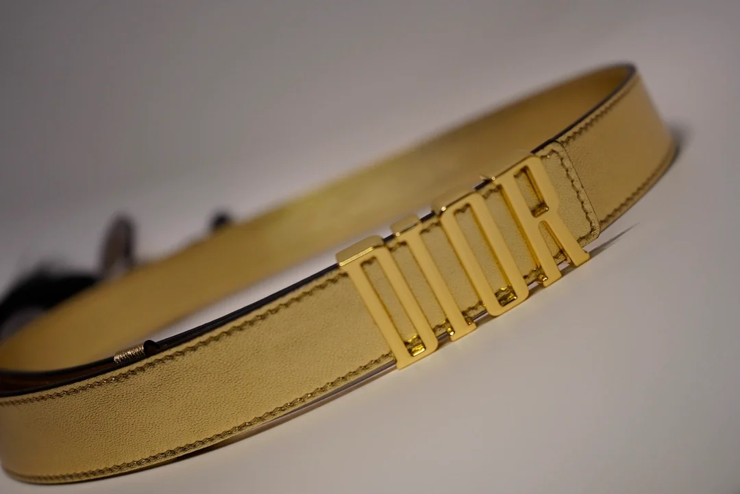 디올 D-FENCE 리버서블 벨트 골드 30mm