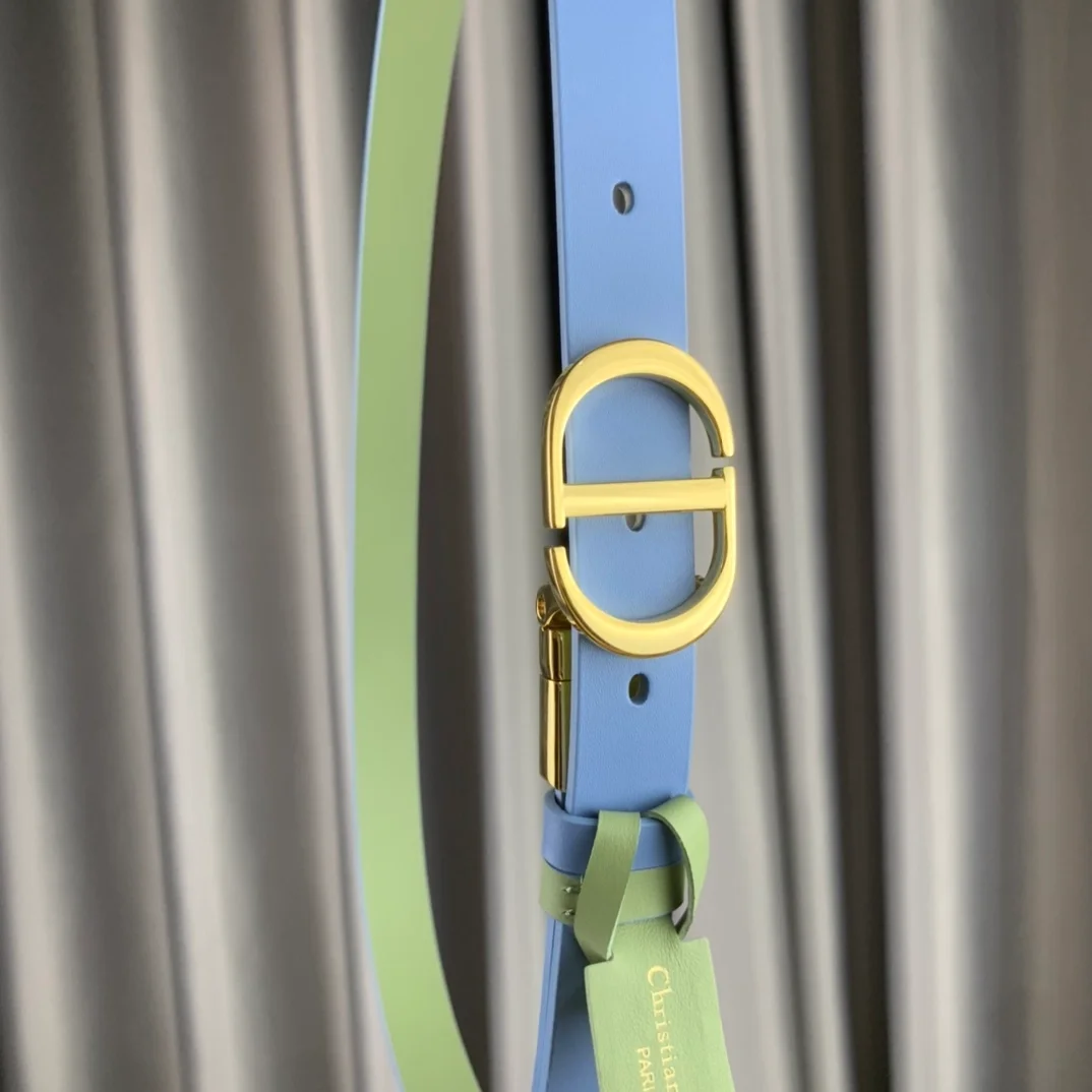 디올 30 몽테뉴 리버서블 벨트 블루 그린 20mm