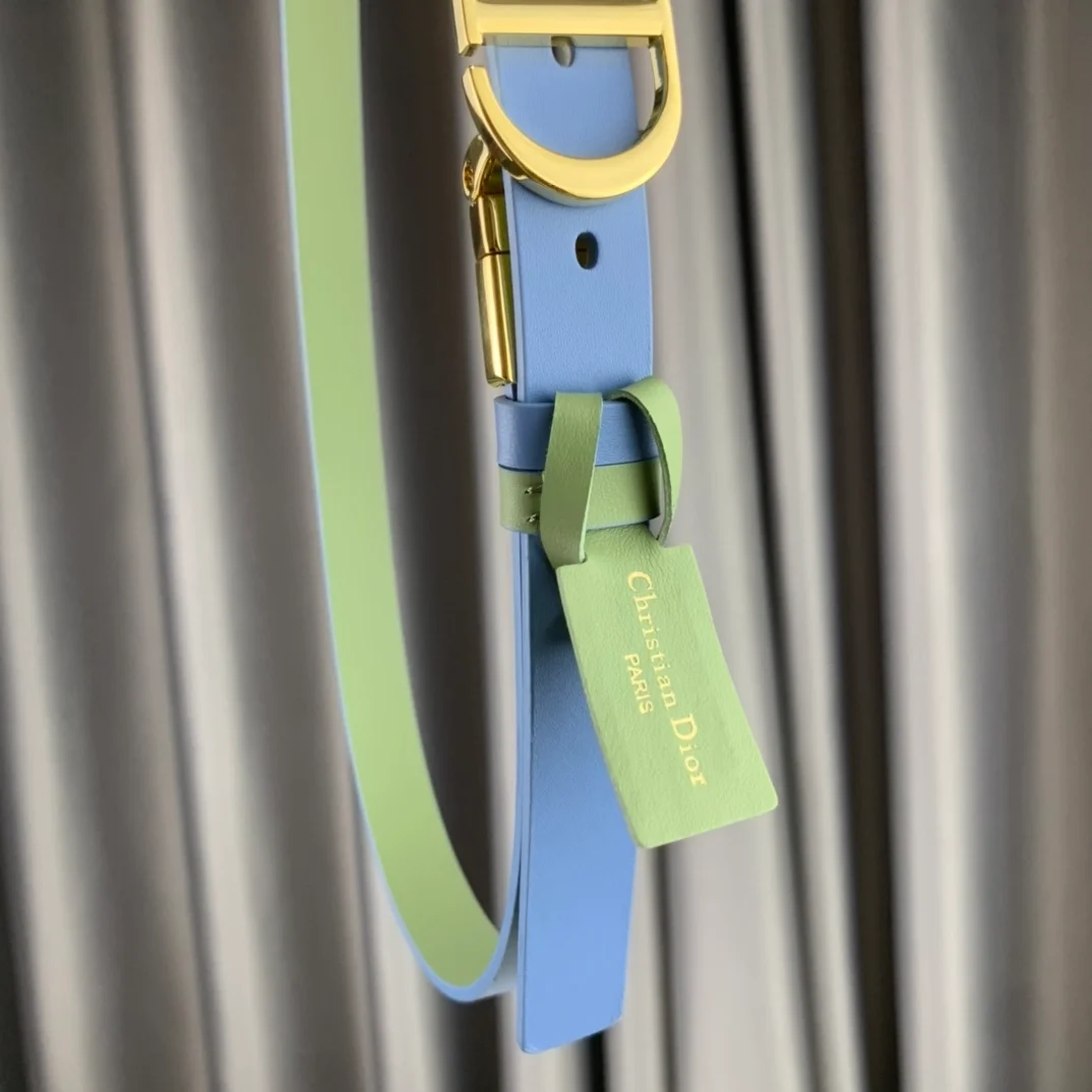 디올 30 몽테뉴 리버서블 벨트 블루 그린 20mm