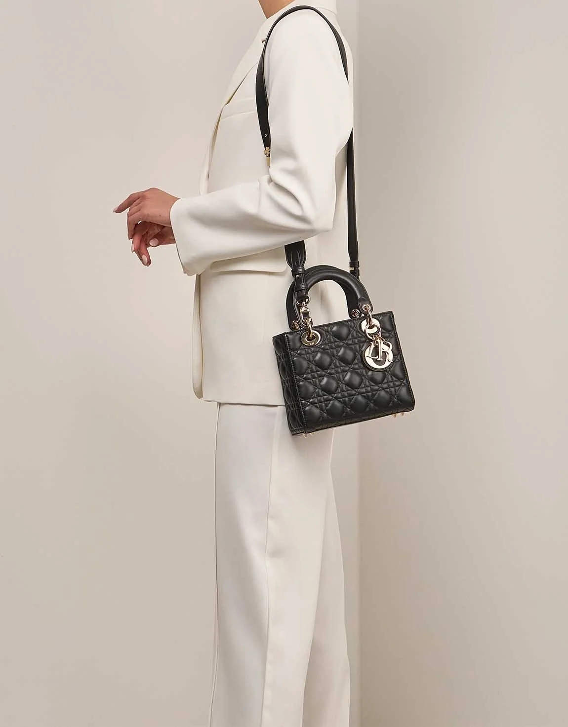 디올 레이디 카나쥬 백 20