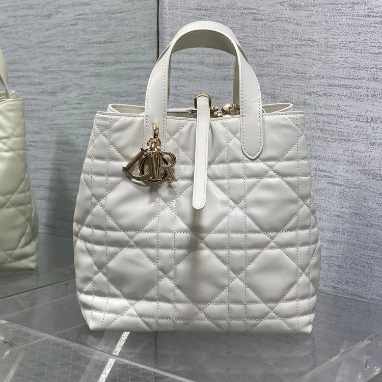 디올 뚜주흐 버티컬 토트백