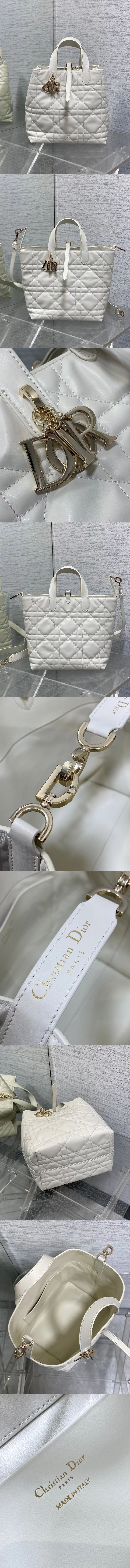 디올 뚜주흐 버티컬 토트백