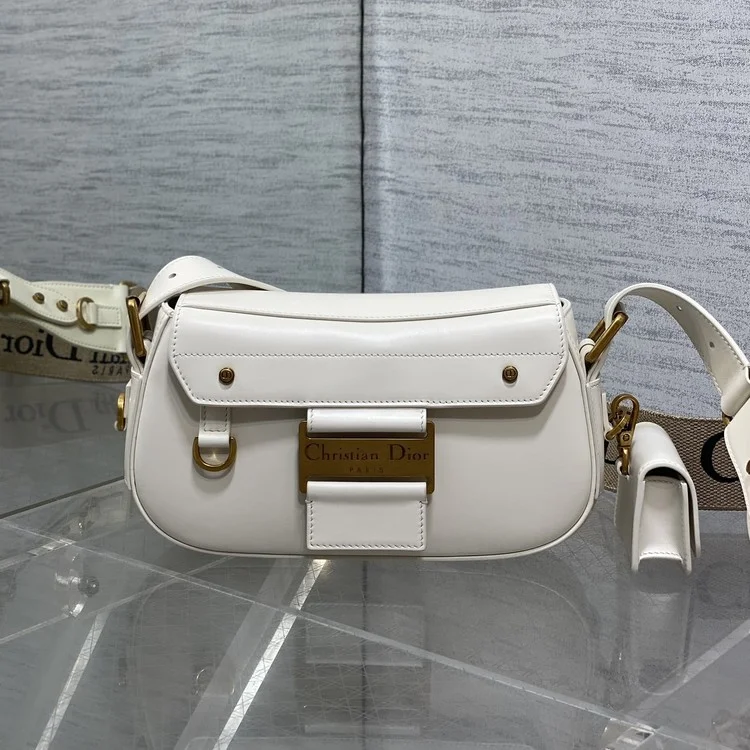 디올 오블리크 스트릿시크 백