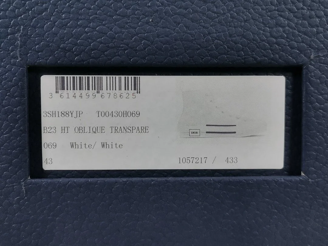 디올 B23 하이 디올 오블리크 캔버스 화이트