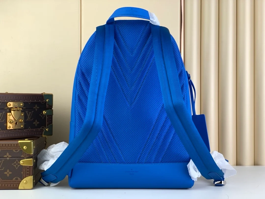 루이비통 에어로그램 백팩 M20503