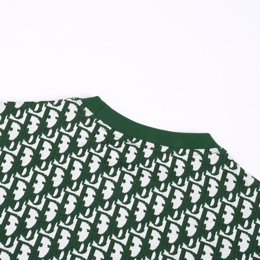 디올 오블리크 반팔 티셔츠 그린