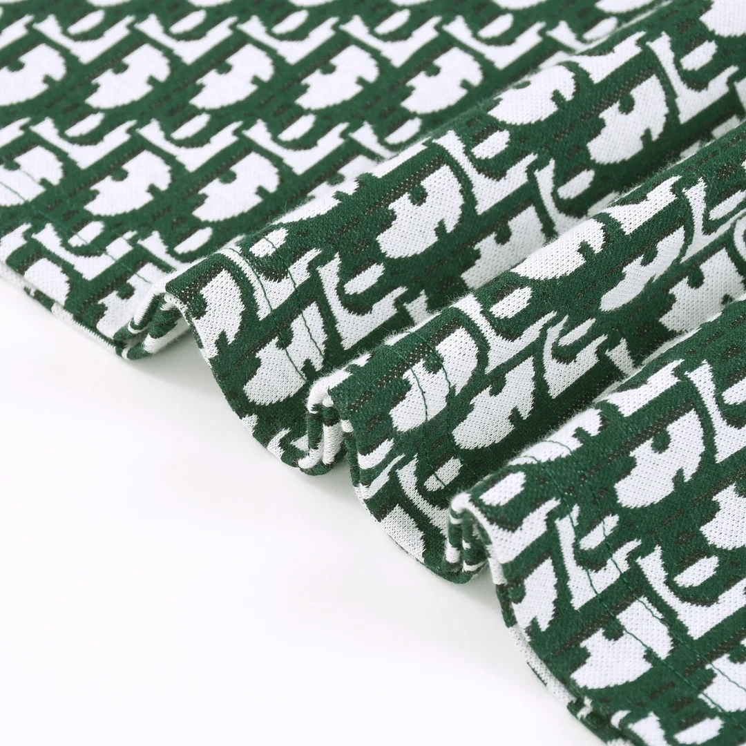 디올 오블리크 반팔 티셔츠 그린