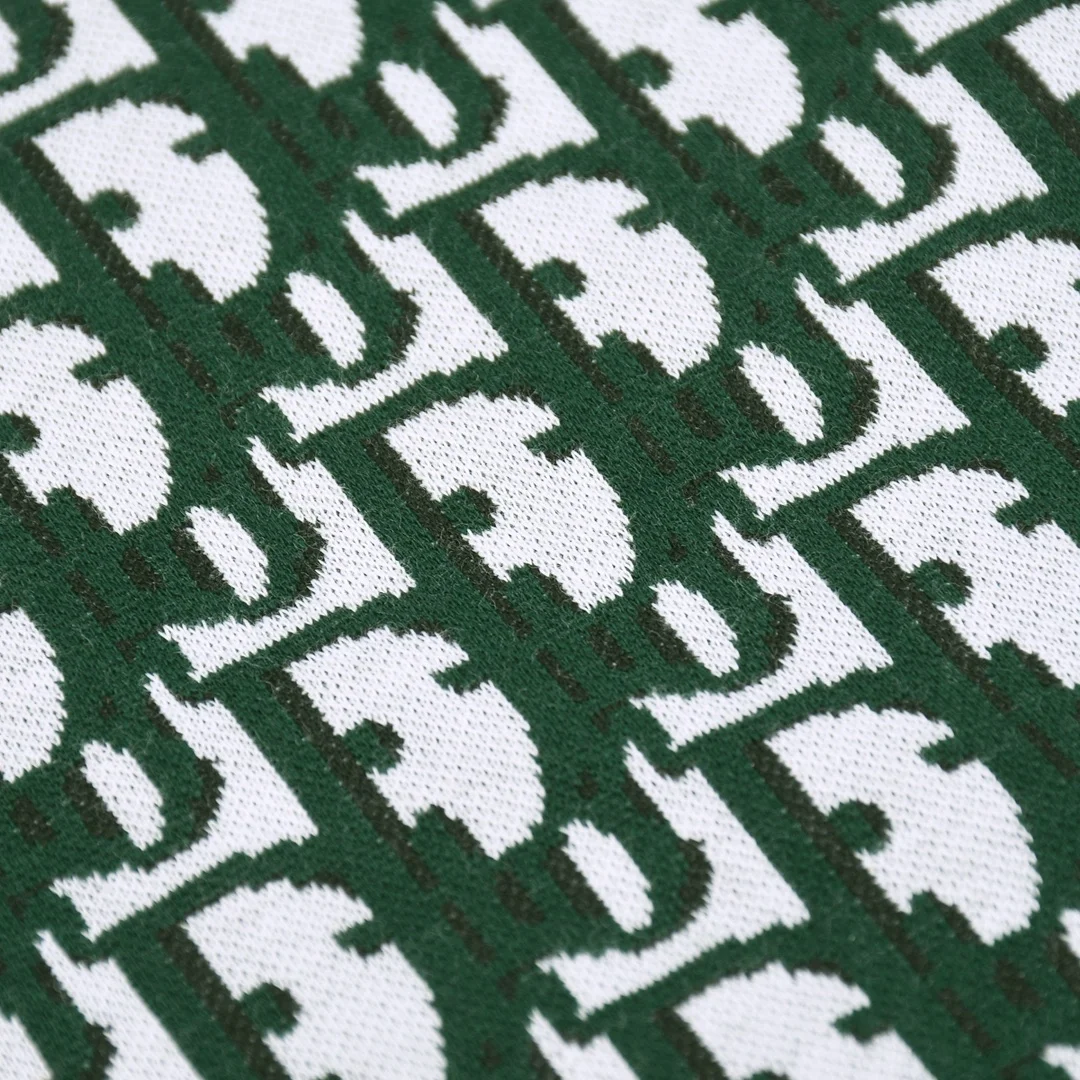 디올 오블리크 반팔 티셔츠 그린