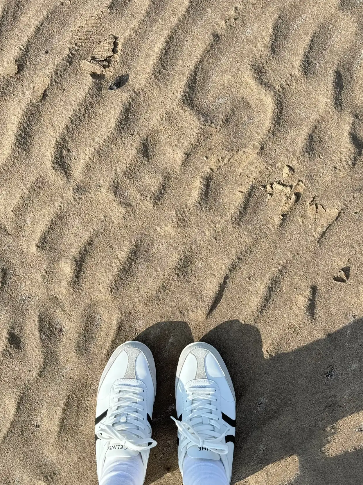 장다**** 리뷰 이미지